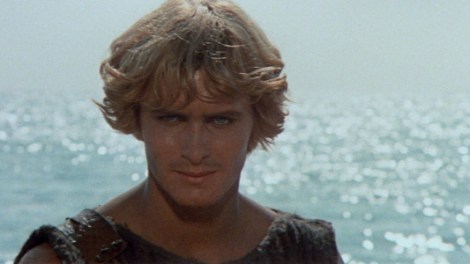 larassefpk6y1cm7o8uvx9wsgcr