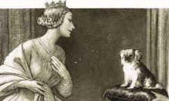 fd9cbrxuqlobfbfw8s3l