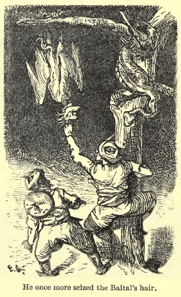 rf_burton_vikram_and_the_vampire_28187029_illustrated_by_ernest_griset_page048